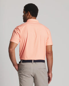 Melon || Kingston Polo Back