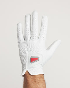Premium Tour Glove Men's