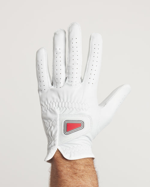 Premium Tour Glove Men's