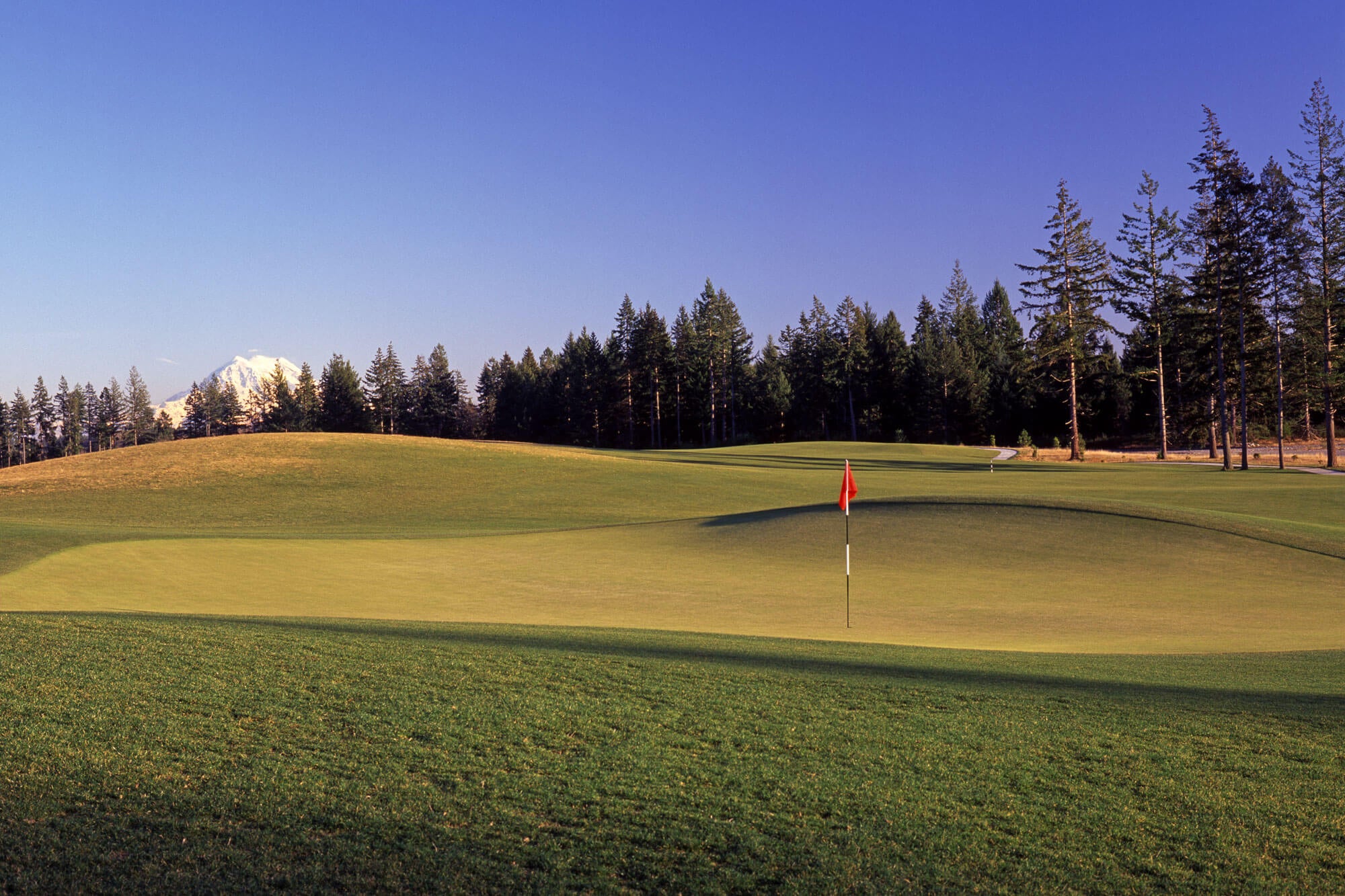 Golf Tournament